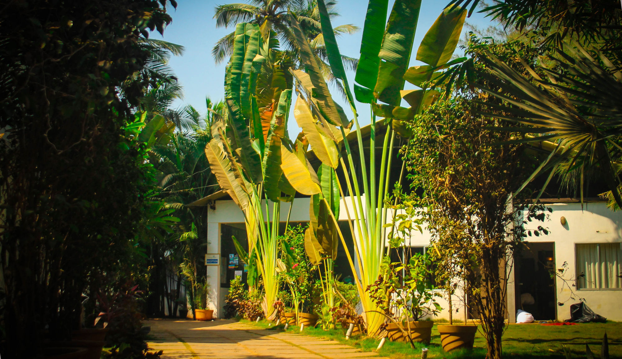 Rococco Ashvem Hotel Mandrem Bagian luar foto
